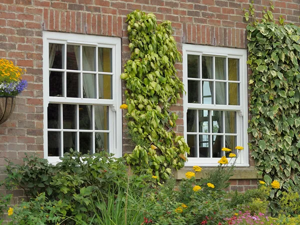 UPVC Sash Windows